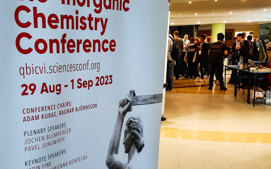The 6th Quantum Bio-Inorganic Chemistry Conference (QBIC-VI 2023) in Warsaw